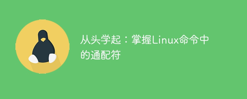 从头学起:掌握Linux命令中的通配符