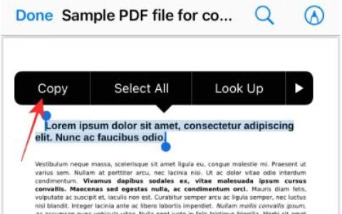 在iPhone上从PDF获取文本的3种方法