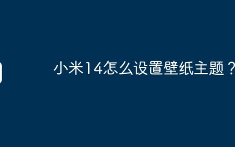 小米14怎么设置壁纸主题？