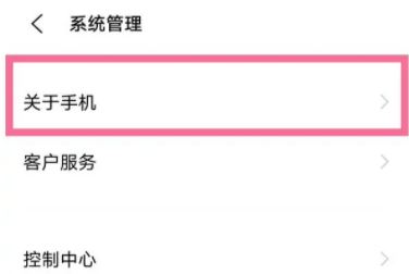 iqooz9怎么打开开发者模式?