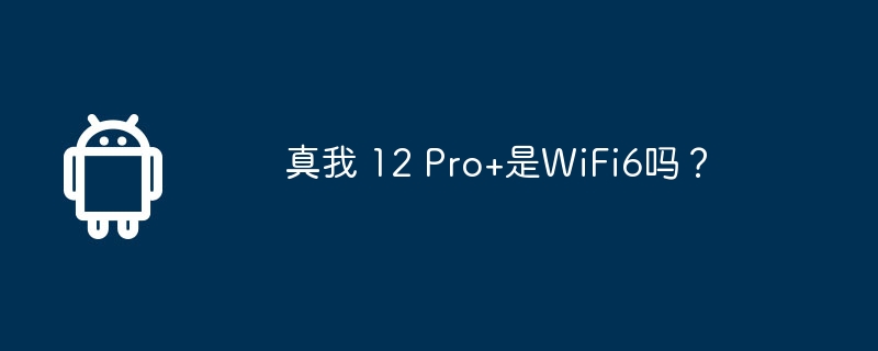 真我 12 Pro+是WiFi6吗?