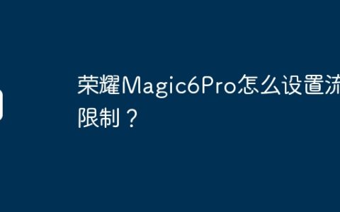荣耀Magic6Pro怎么设置流量限制？