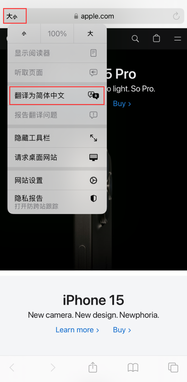 在 iPhone 上使用 Safari 浏览器翻译网页:可设置多种翻译语言