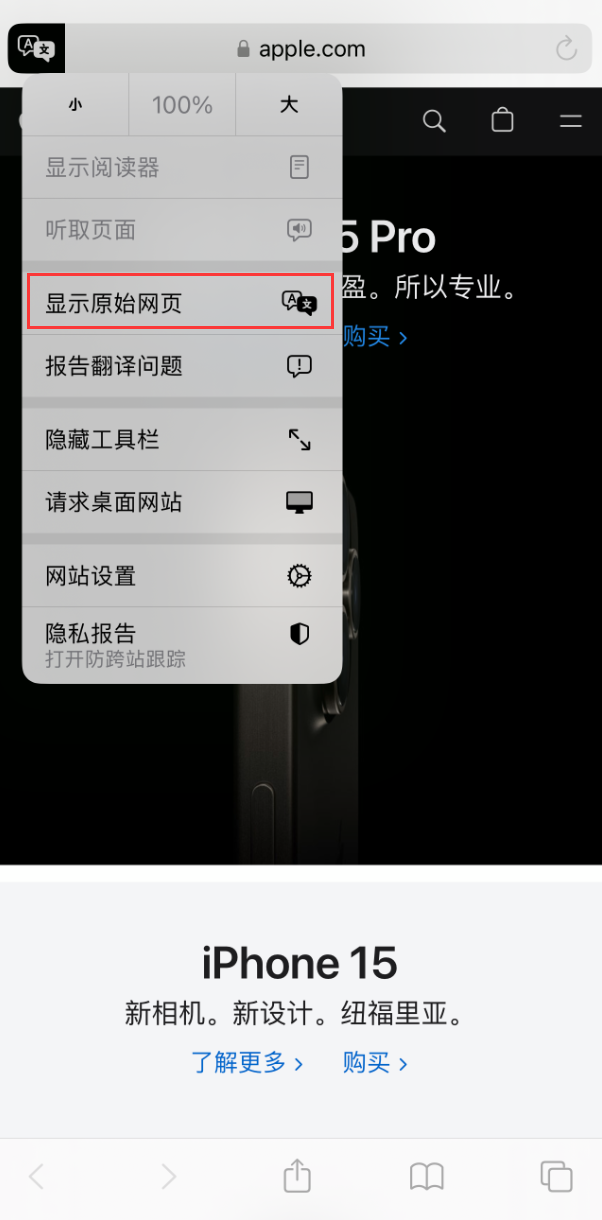 在 iPhone 上使用 Safari 浏览器翻译网页:可设置多种翻译语言
