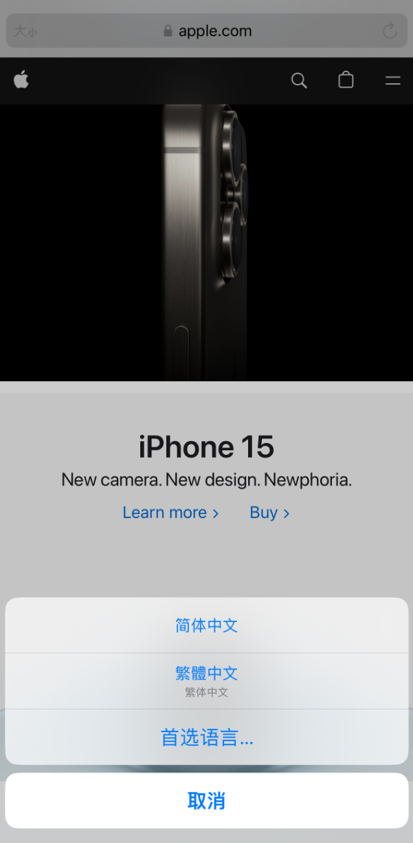 在 iPhone 上使用 Safari 浏览器翻译网页:可设置多种翻译语言