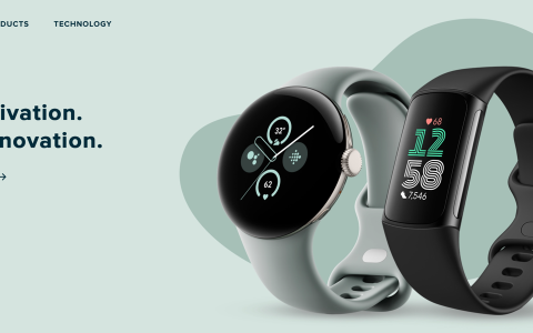谷歌旗下可穿戴品牌 Fitbit 更新标志为 Google Fitbit，弃用 Fitbit by Google 标志