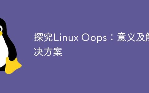 探究Linux Oops：意义及解决方案