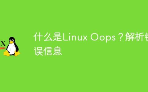 什么是Linux Oops？解析错误信息