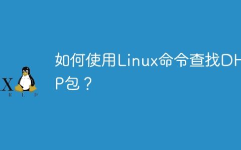 如何使用Linux命令查找DHCP包？