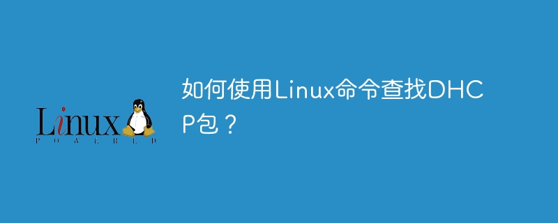 如何使用linux命令查找dhcp包?
