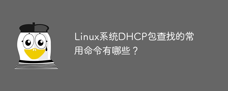 linux系统dhcp包查找的常用命令有哪些?