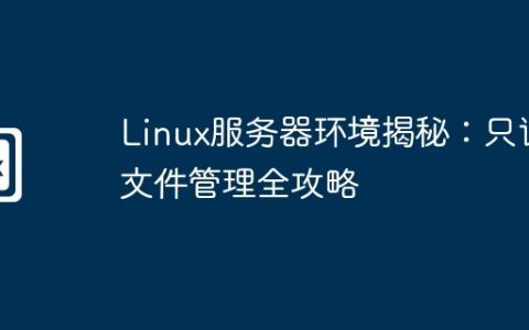 Linux服务器环境揭秘：只读文件管理全攻略