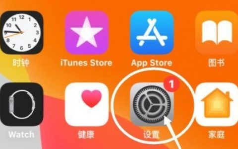 苹果手机怎么禁止安装新的APP 苹果手机禁止安装应用步骤