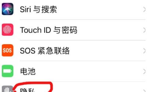 苹果12麦克风在哪里设置_苹果12麦克风设置教程