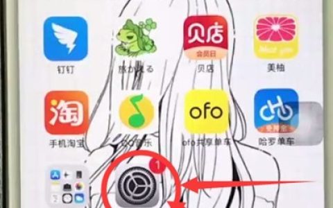 苹果6plus中使用缩放的操作步骤