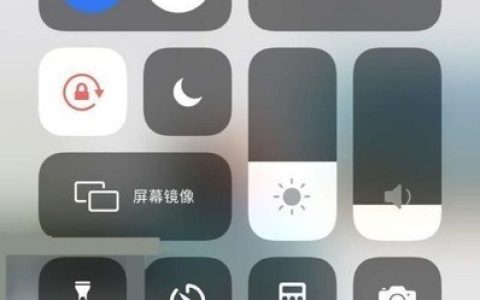 苹果12蜂窝数据怎么打开_苹果12蜂窝数据打开步骤