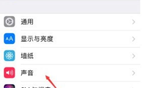 苹果x震动强度设置方法