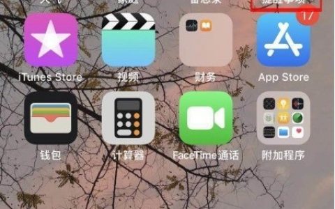 苹果手机怎样开启事项提醒_苹果手机开启事项提醒步骤