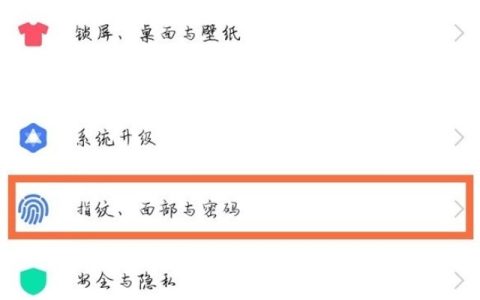 vivoy52s在哪开启应用隐藏 vivoy52s应用隐藏设置教程