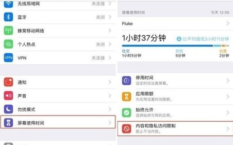 苹果个别软件怎么隐藏 苹果隐私访问限制设置方法