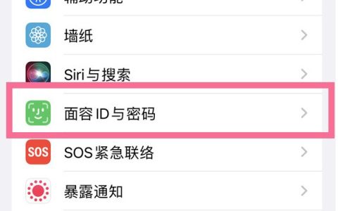 苹果13怎么开启屏幕锁_苹果13设置锁屏密码方法介绍