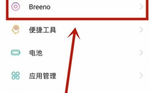 opporeno5pro步数怎么显示在桌面上_opporeno5pro步数显示方法