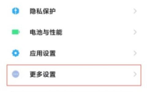 小米11怎么开启放大模式_小米11开启放大模式教程