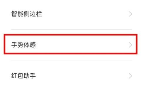 oppofindx2pro设置抬起亮屏的操作步骤