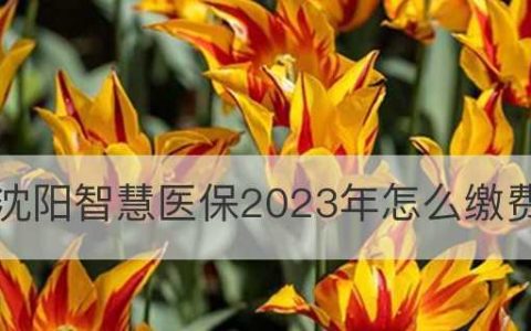 2024年公认打游戏最强的手机（探索行业之作）