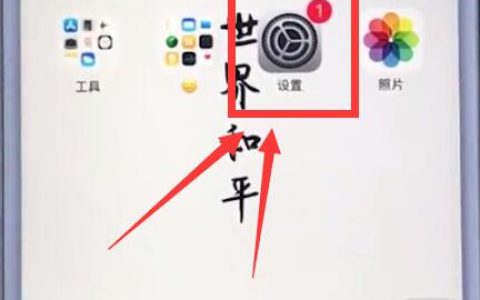 苹果手机中解决耗电快的操作方法