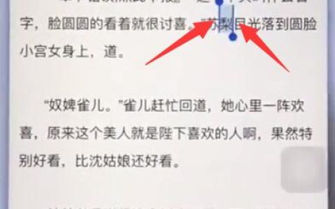 苹果手机中复制粘贴的简单步骤