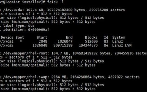 如何在Linux系统上添加新的磁盘