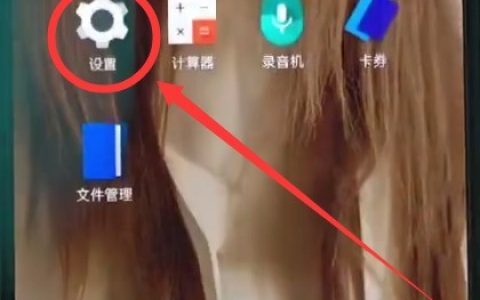 一加6中开启抬手亮屏的简单步骤