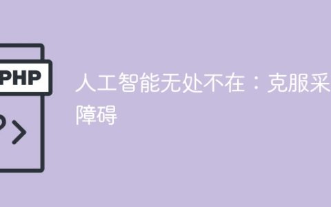 人工智能无处不在：克服采用障碍