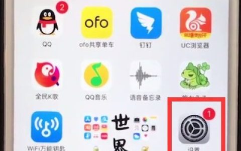 iphone6plus中打开个人热点操作方法