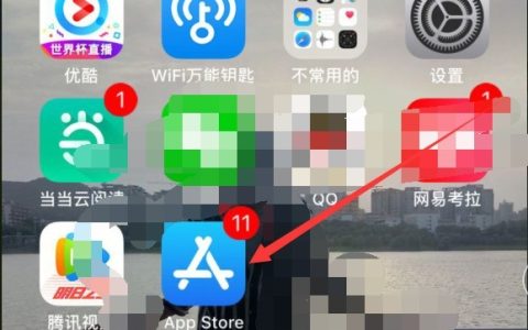iphone6中下载绝地求生的操作方法