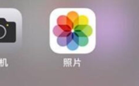 iphone11进行动态拍照的方法介绍