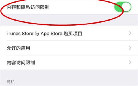 苹果 iPhone15 Pro如何设置应用加密？