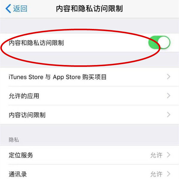 苹果 iPhone15 Pro如何设置应用加密?