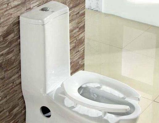 家庭常见问题之座便器堵塞解决方法(轻松应对家中座便器堵塞的有效措施)