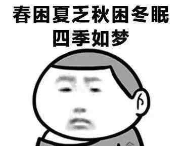失眠的原因及对策(探索又困睡不着的背后原因与解决方法)