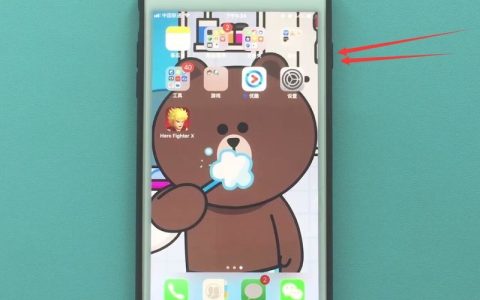 苹果7plus中打开sos紧急呼叫的具体步骤