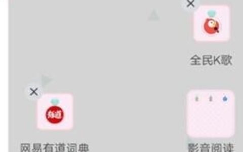 vivou1设置摇摇对齐图标的操作教程