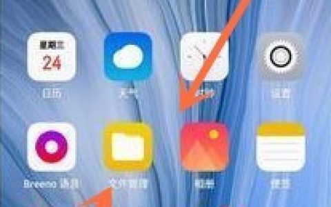 OPPO Ace2桌面插件添加方法