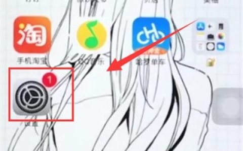苹果6plus中打开放大器的简单操作