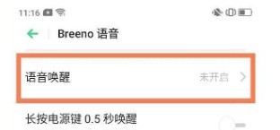 OPPOReno6在哪里看语音助手_OPPOReno6打开语音助手的教程