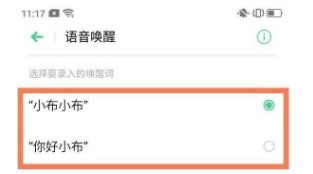 OPPOReno6在哪里看语音助手_OPPOReno6打开语音助手的教程
