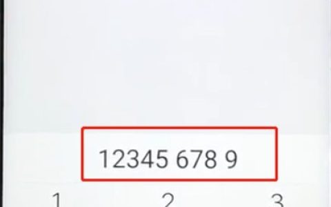 vivoz1中添加联系人的简单步骤