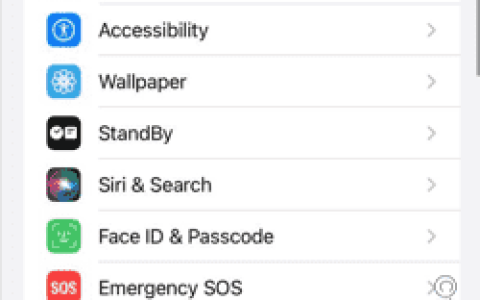 无法允许访问 iPhone 中的摄像头和麦克风