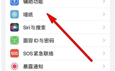 苹果13mini怎样更换壁纸主题_苹果13mini设置壁纸主题教程